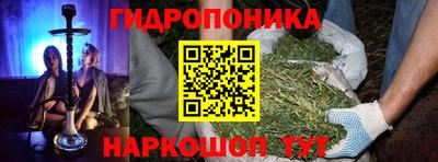 дурь Кимры