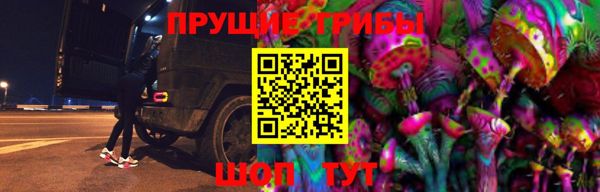 Псилоцибиновые грибы мицелий Аксай